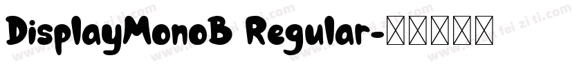 DisplayMonoB Regular字体转换
